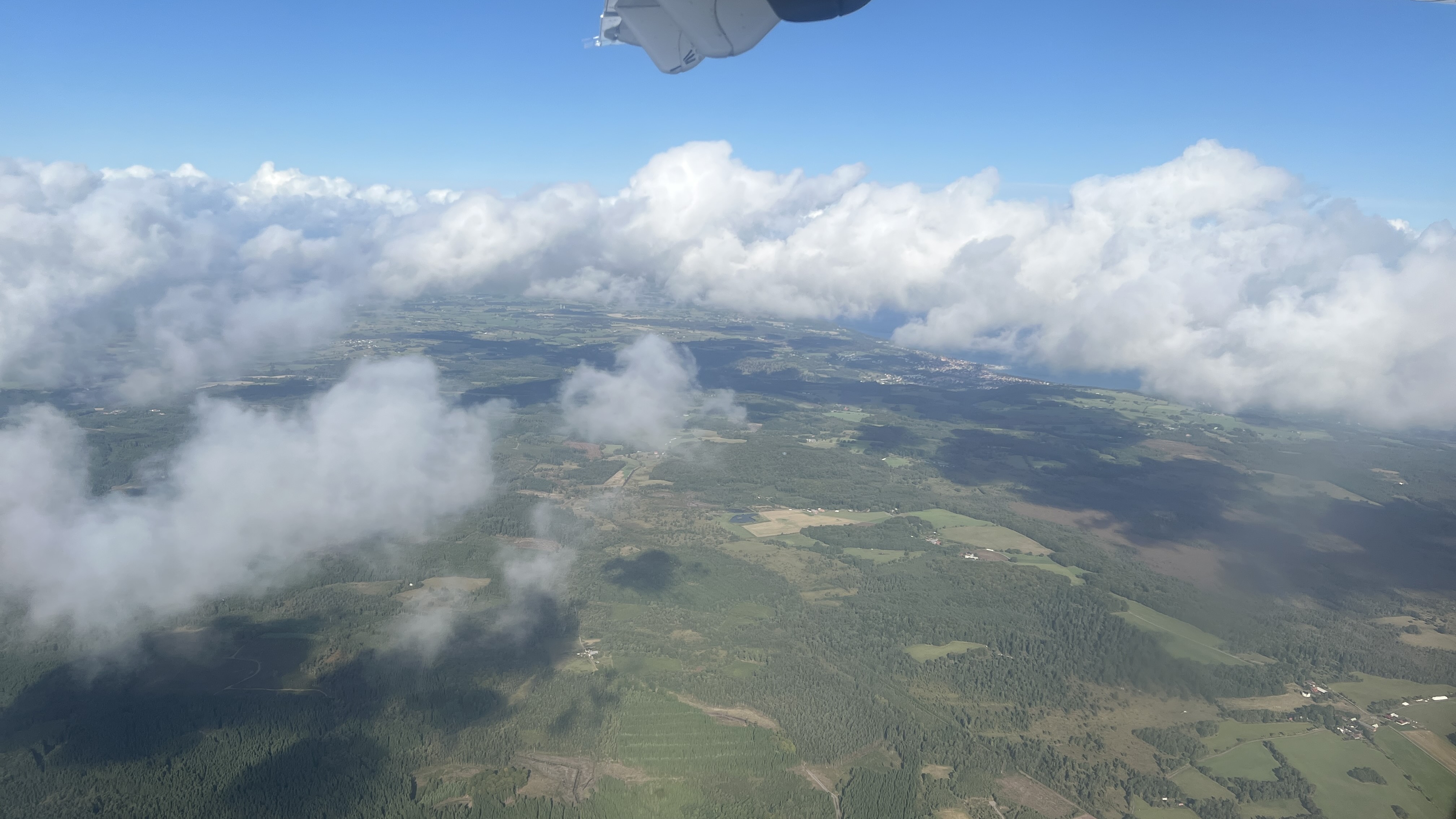 AAA