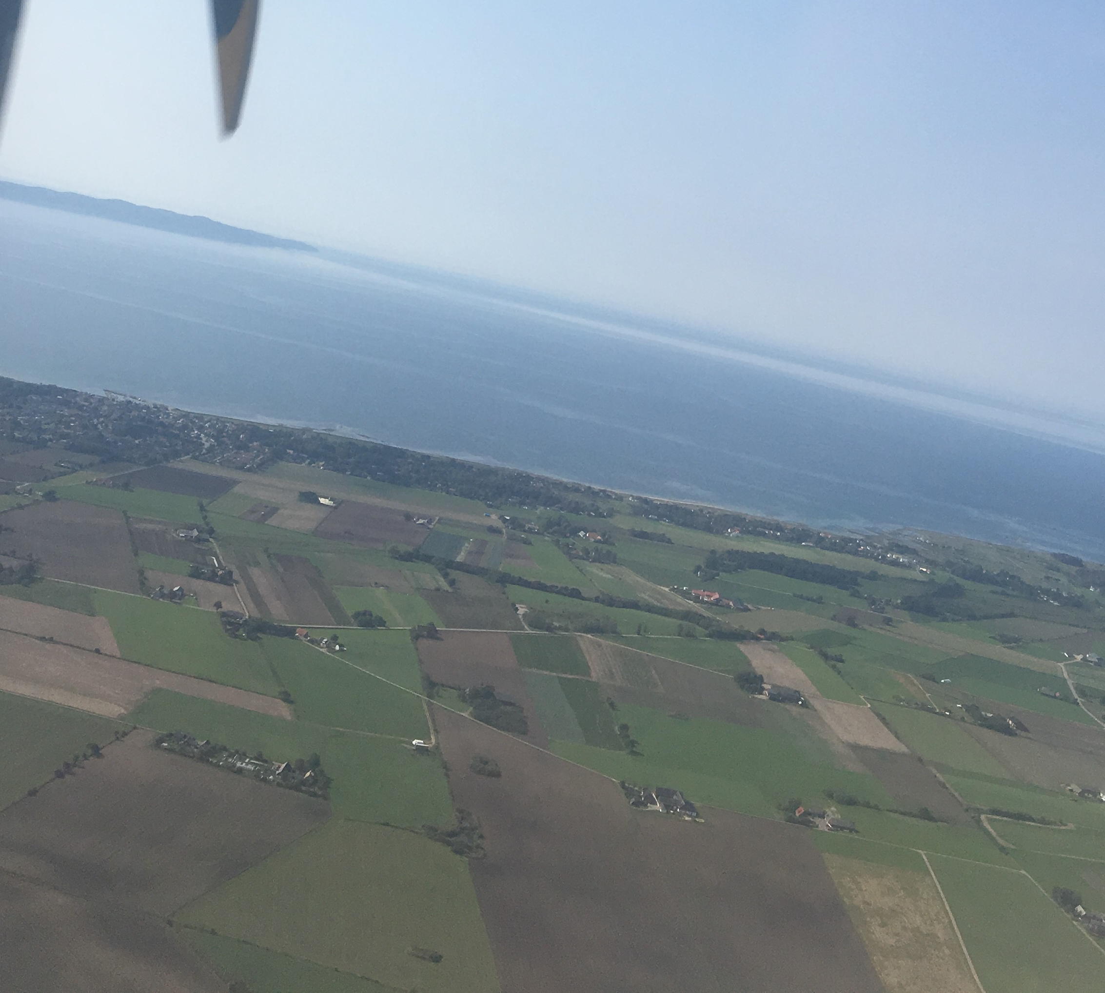 AAA