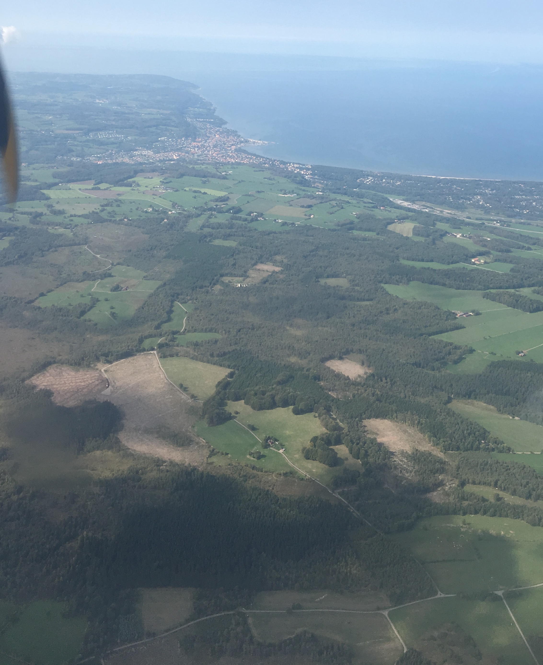 AAA