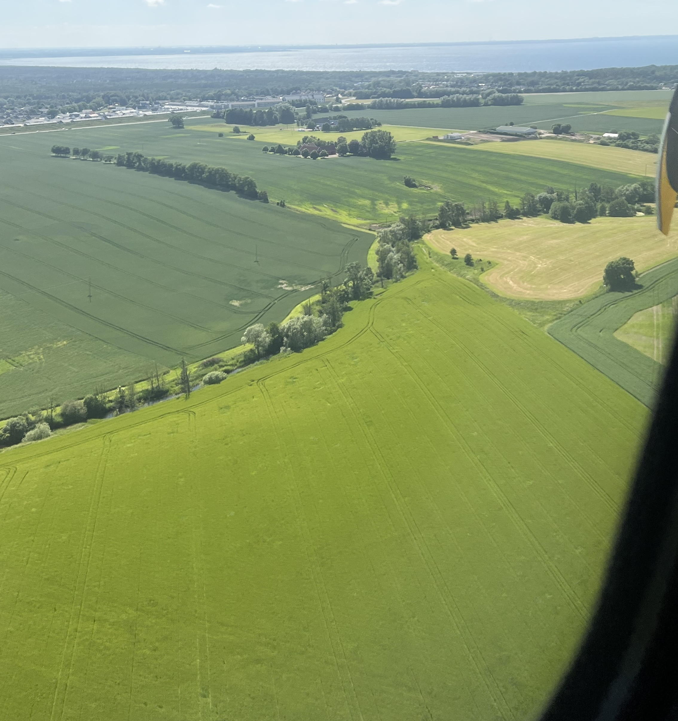 AAA