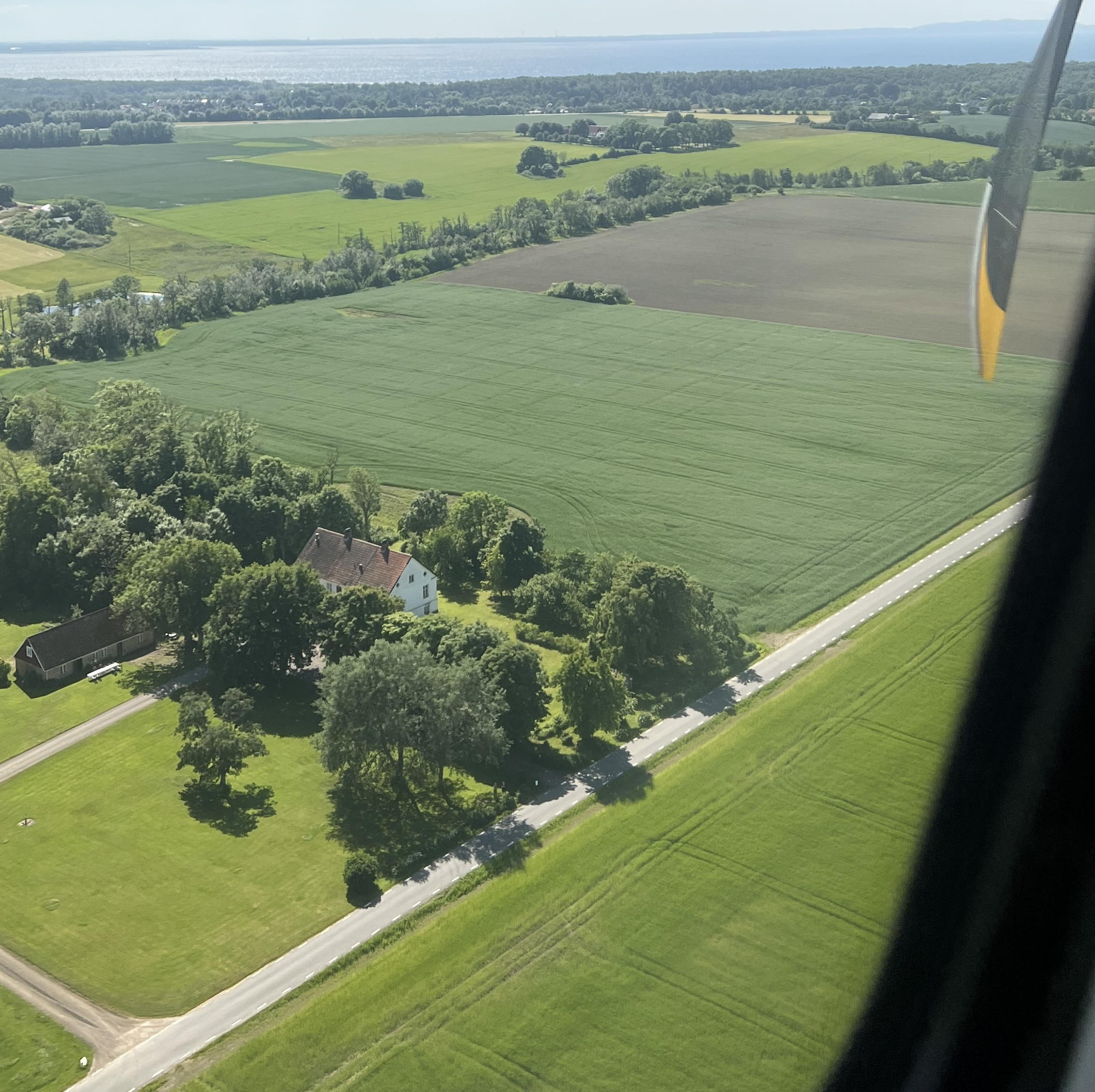 AAA