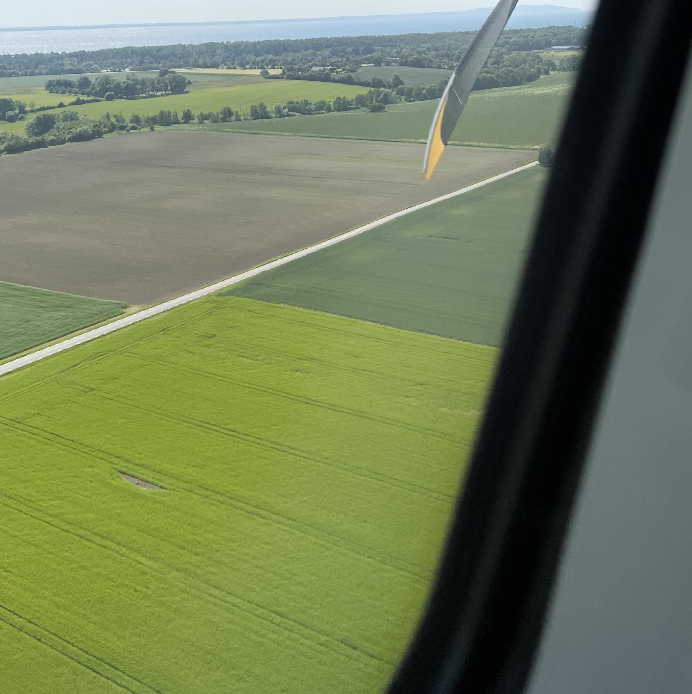 AAA
