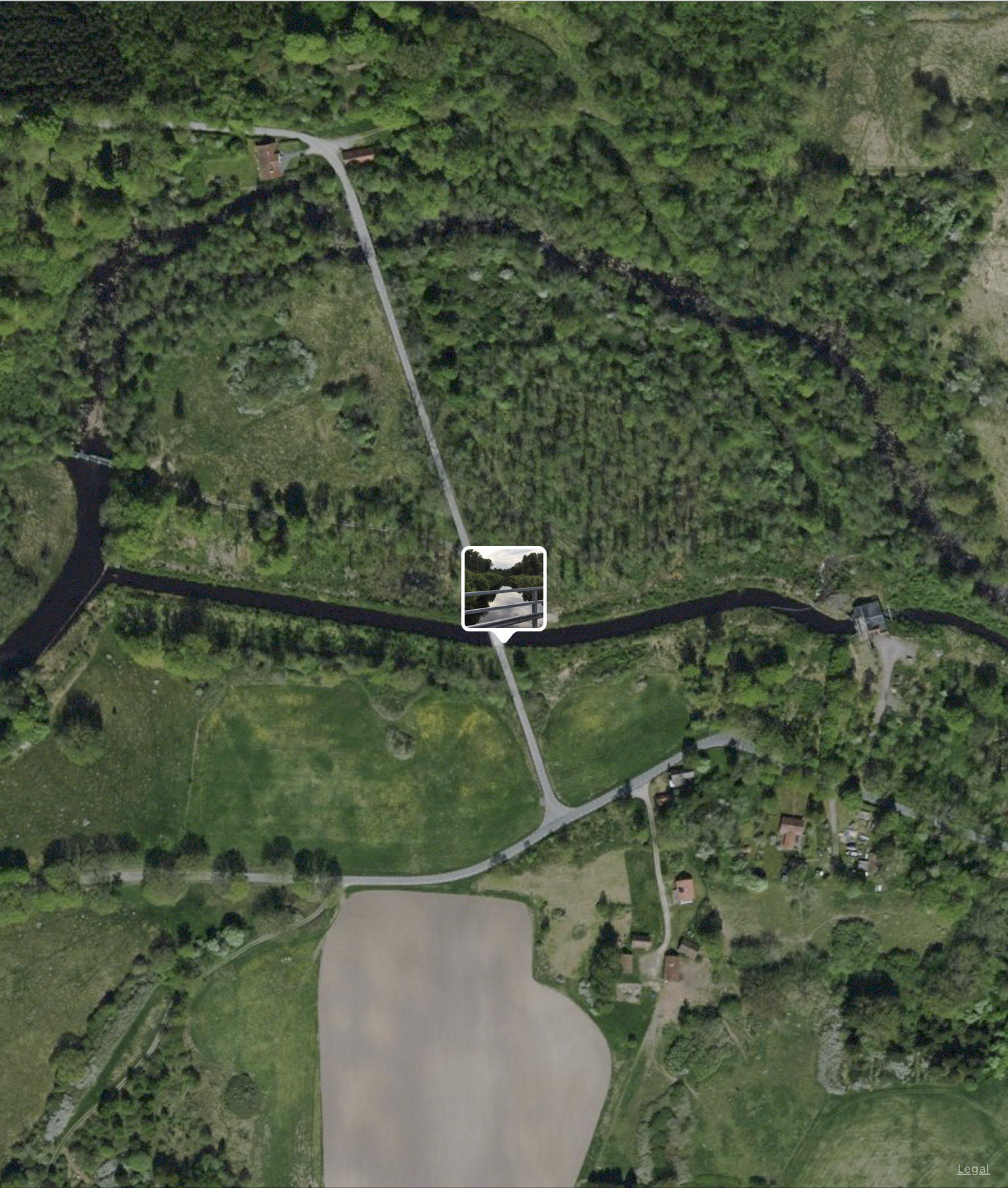 AAA